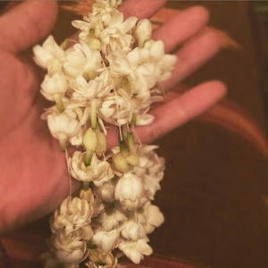 Meet your Posher, Jasmine j.